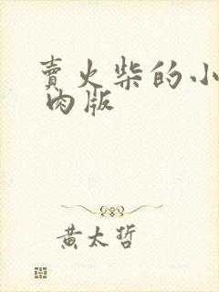 卖火柴的小男孩 肉版