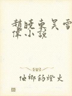 赵晓东吴雪晴郑伟小说