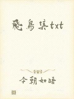 飞鸟集txt