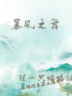 暴风之舞