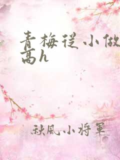 青梅从小做到大高h