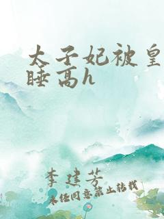 太子妃被皇上强睡高h