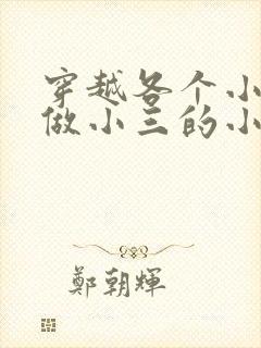 穿越各个小世界做小三的小说