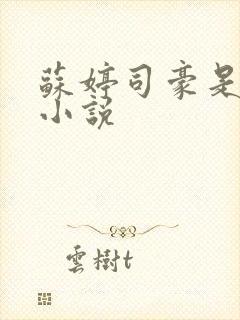 苏婷司豪是什么小说