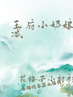 王府小奶娘未删减