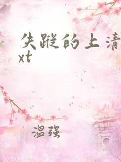 失踪的上清寺txt