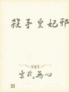 杀手皇妃邪魅帝