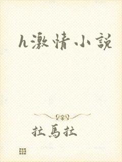 h激情小说