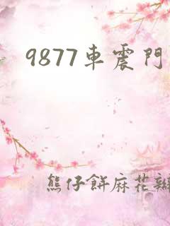 9877车震门
