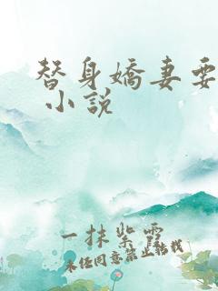 替身娇妻要离婚 小说