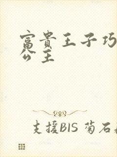 富贵王子巧遇穷公主