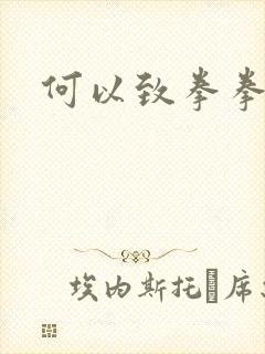 何以致拳拳番外