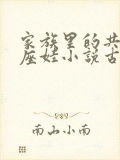 家族里的共用小座娃小说古代