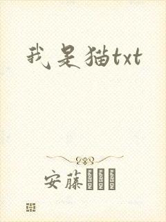我是猫txt