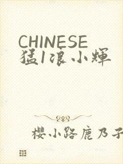 CHINESE猛1浪小辉