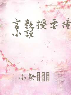 言教授要撞坏了小说