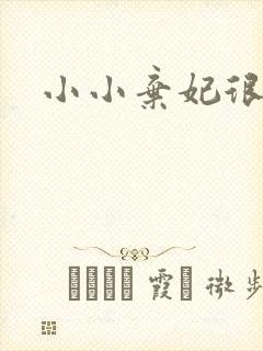 小小弃妃很倾城