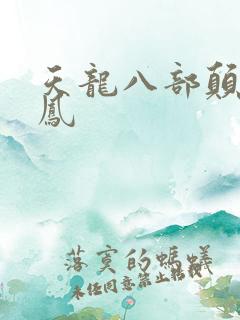 天龙八部颠龙鸾凤