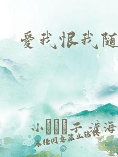 爱我恨我随便你