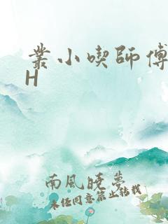 丛小吃师傅的HH