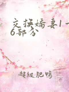 交换娇妻1一36部分