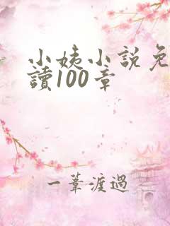 小姨小说免费阅读100章