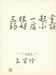 三根一起会坏掉的好痛小说