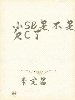 小SB是不是又欠C了