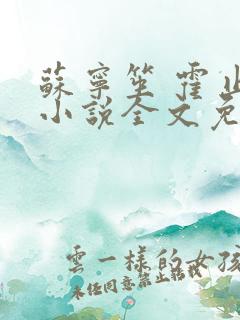 苏宁笙 霍止行小说全文免费阅读