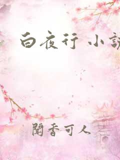 白夜行 小说