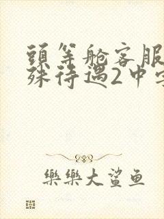 头等舱客服的特殊待遇2中字