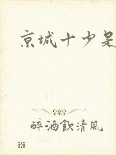 京城十少是谁