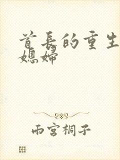 首长的重生宝贝媳妇