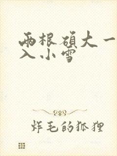 两根硕大一起挤入小雪