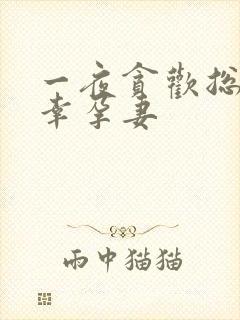 一夜贪欢总裁的幸孕妻