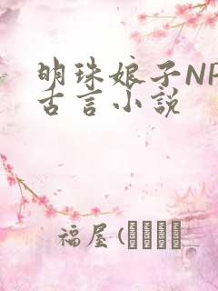 明珠娘子NPC古言小说