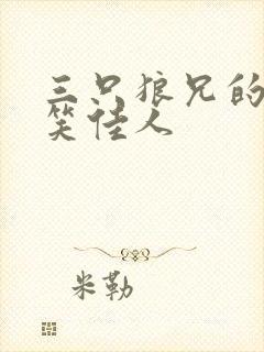 三只狼兄的宠妻笑佳人