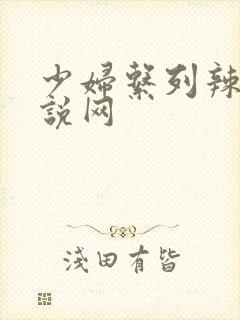 少妇系列辣文小说网