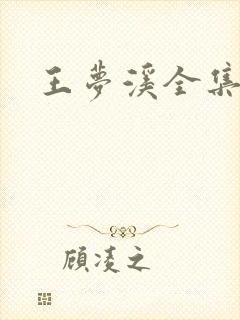 王梦溪全集