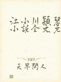 江小川颖儿穿越小说全文免费阅读