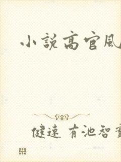 小说高官风流