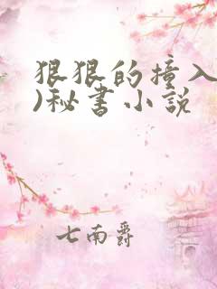 狠狠的撞入(h)秘书小说