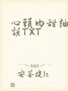 心头肉甜柚子小说TXT