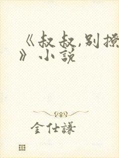 《叔叔,别撩我》小说