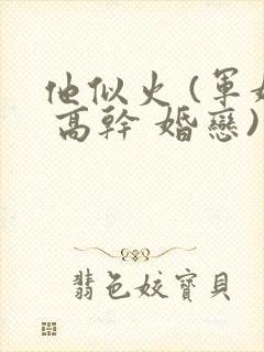 他似火 (军婚 高干 婚恋)小说免费阅读