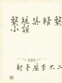 系统集精系统 小说