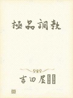 极品调教
