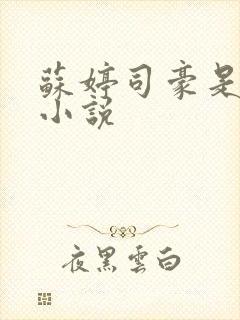 苏婷司豪是什么小说