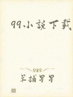 99小说下载网