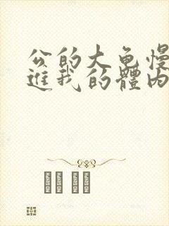 公的大龟慢慢挺进我的体内